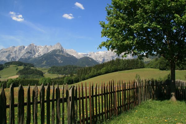 Forsthof (Sankt Johann im Pongau)